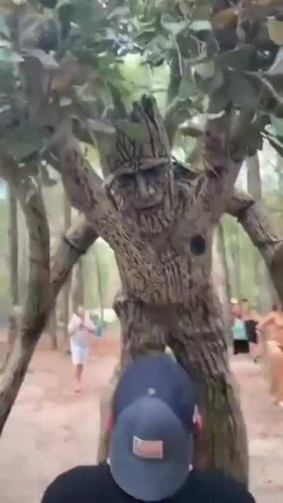 Tree Costume