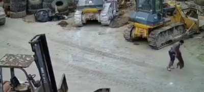 Bad day to be a bad dog