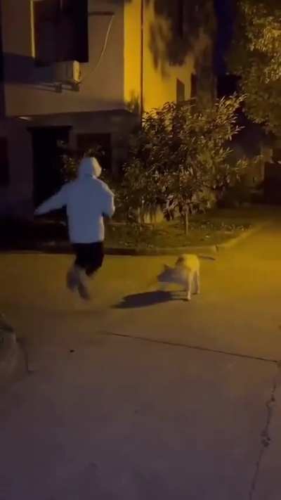 Pure joy in stick form.