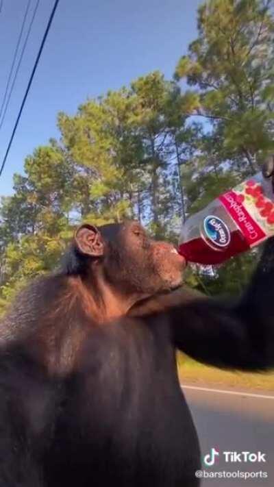 tá gostoso o suco muquinha?