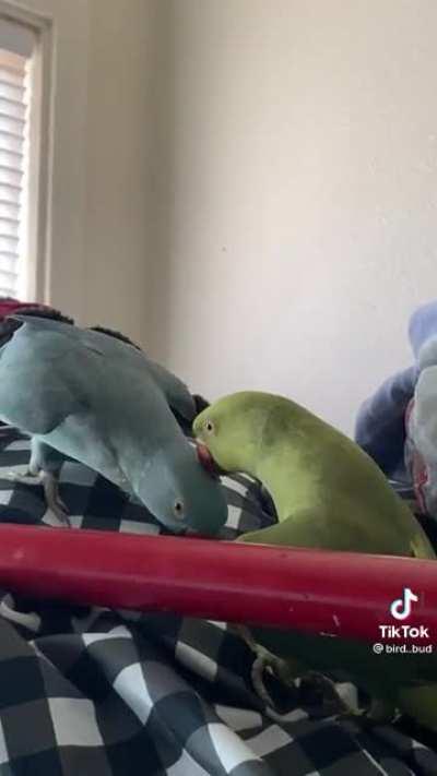 S Y N C H R O N I Z A T I O N: 100% Initiated