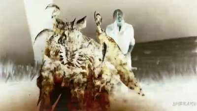 Can I get some opinions on this one?