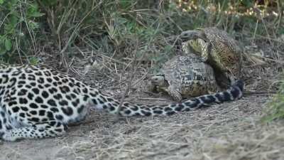 Everyone has their own priorities