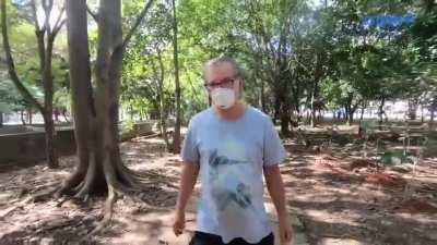 O plantador de árvores - História do homem que plantou 33 mil plantas em São Paulo, criando o primeiro parque linear da cidade