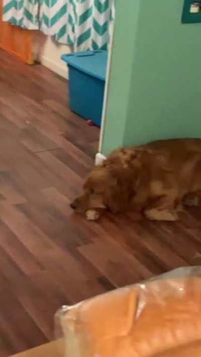 His son took his favorite toy