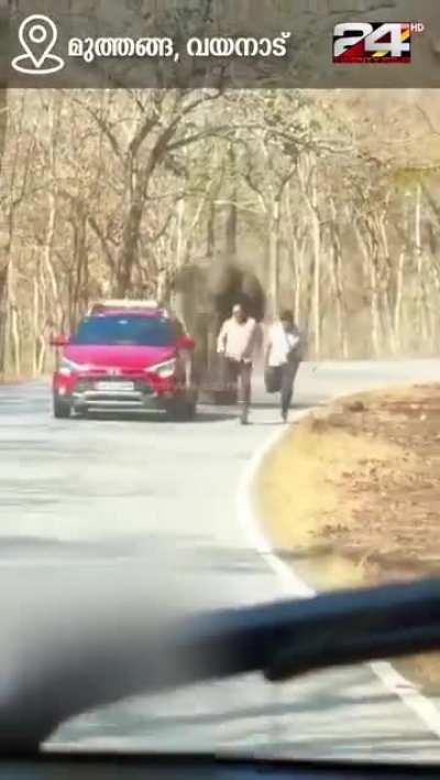 Two men got attacked by elephant after trying to take photos of it, Wayanad 