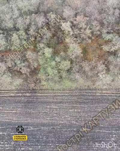 Ukrainian drones destroying Russian vehicles + hits on infantry by Selydove. November 2024