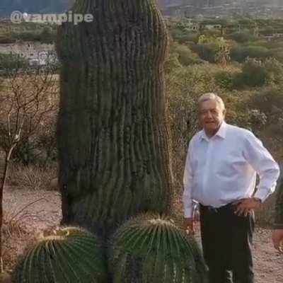 VIVA MÉXICO CABRONES