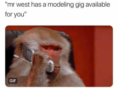 Poor monkey