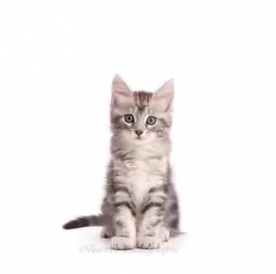 A timelapse from illegal to legal to legal