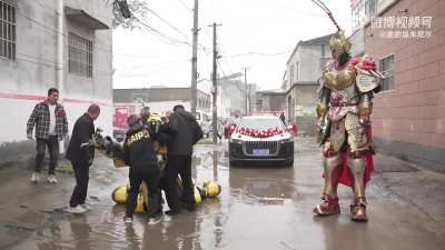 Netherlands Bumblebee