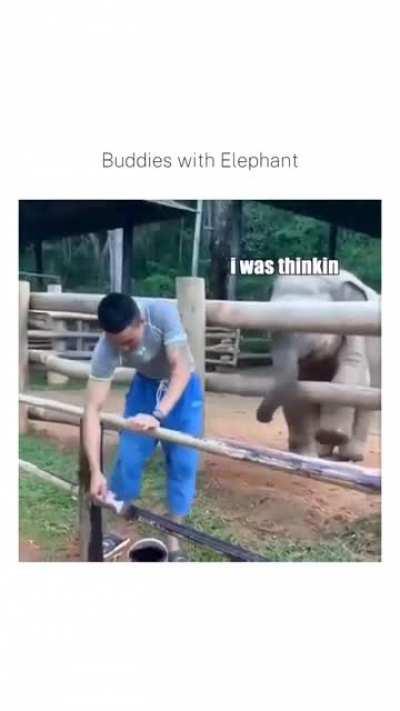 Let's hit up the pub!