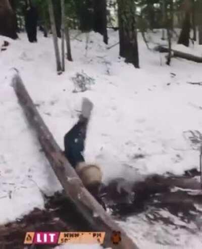 pregate Shrek discepoli.