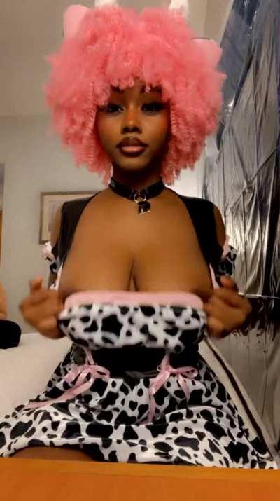 Cow with the big milkers