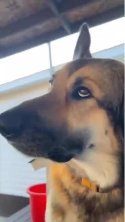 Loving the scratch!!