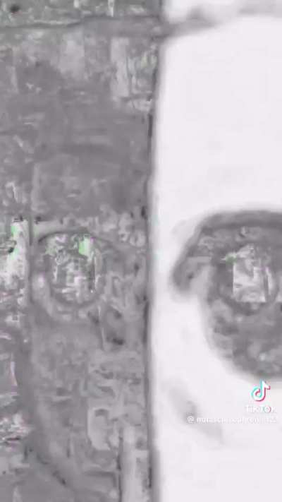 Chopped chin time traveler