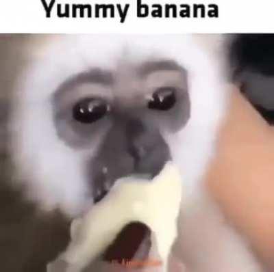 mmmmmmmmmmmmmmmmmmmmm banan