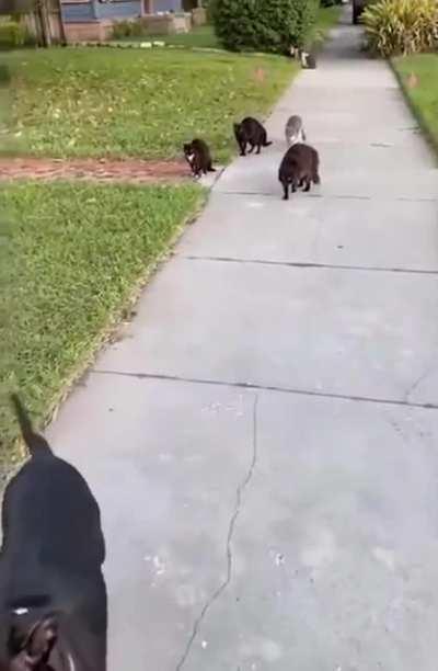 It's hard making friends these days