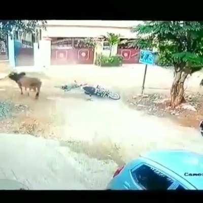 HMFT after riding my bike