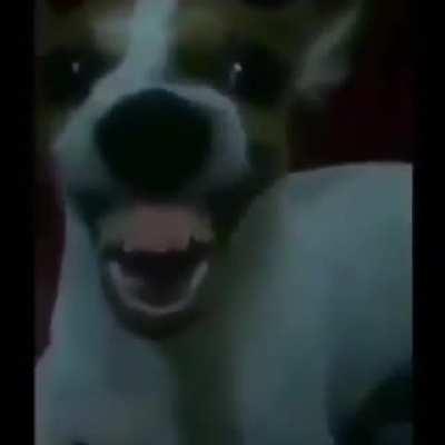 HehehehahshahahHahhwhahehahehwhahehha