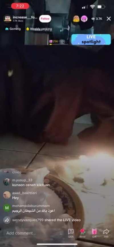 Just watched 30 minutes of this on tik tok live.