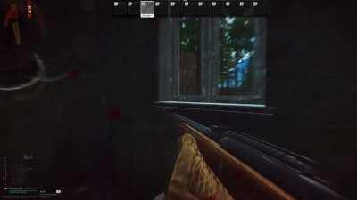 interesting woods experience