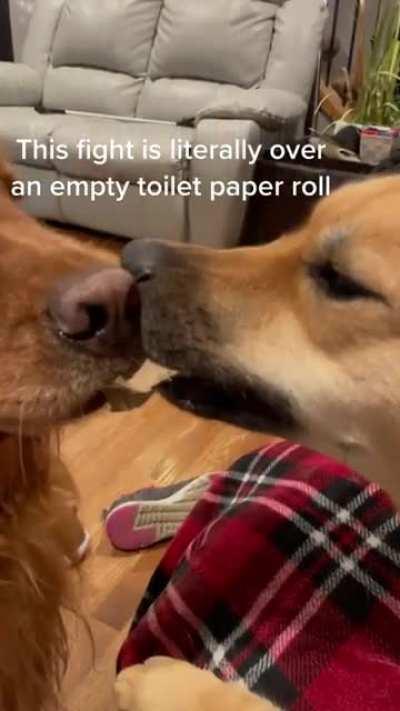 One man's trash is another pup's treasure.