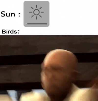 Will you just shut up man?