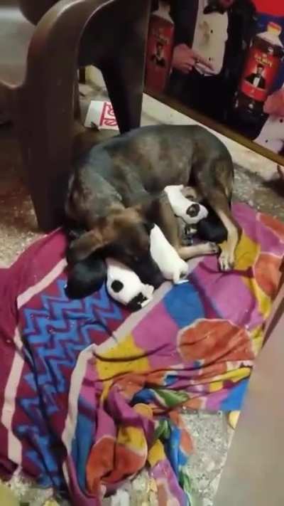 mOm BrEaStFeEdInG iN pRiVaTe RoOm FiLmEd SeCrEtly!!!