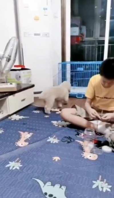 When she closed the door, i died.