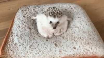 MRW I’m 9 months pregnant and have to pee in the middle of the night but I have a memory foam mattress.