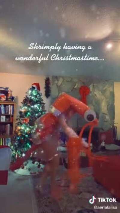 Shrimply Having a Wonderful Christmas-Time