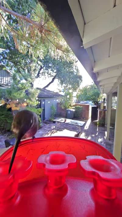 What's wrong with this hummer?