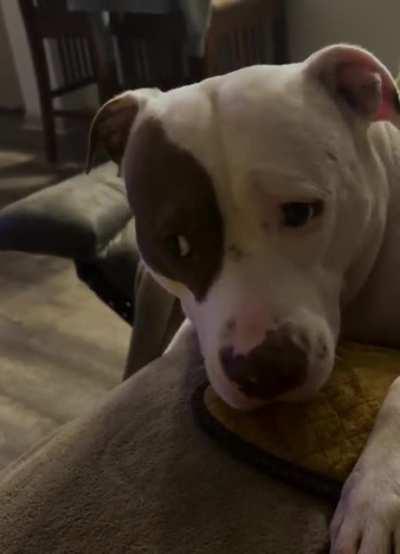 Ares being dramatic as usual