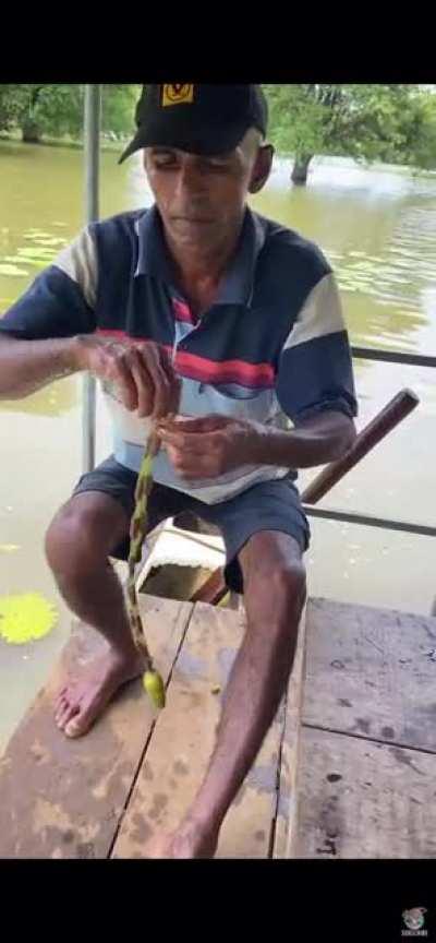 Turning a Water Lily into a Necklace
