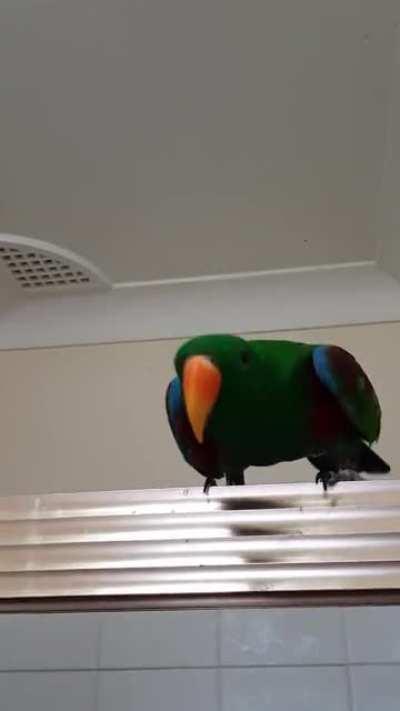 He has so much groove in his soul 🕺