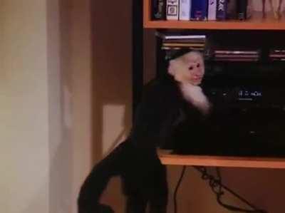 Due to the Friends reunion special that I saw, I had to post this. I made it a while back but for some reason, never posted it. Until now. Enjoy!