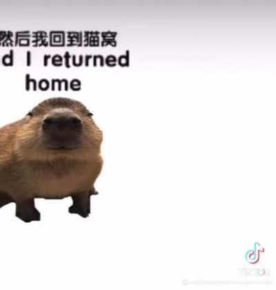 I wanted a *metal pipe sound effect*. is that so much to ask?