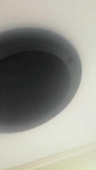 TTS Brian has left twitch to fight OURNA on 3Head busses!