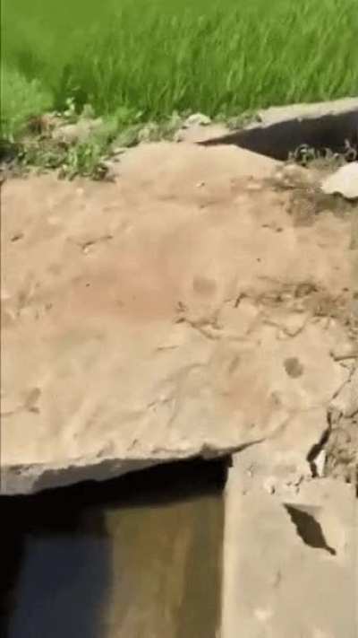 Object Show elimination