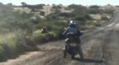 Reverse gear would be most welcome round about now, and new underpants.