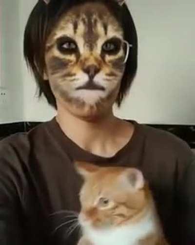 Cats reaction to cat filter