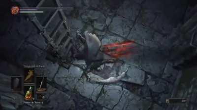 When your bros follows you anywhere even after death