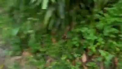 Landslide in Quang Nam, Vietnam