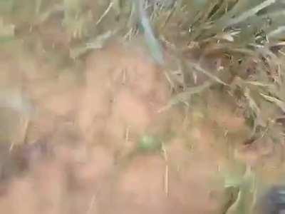 Russian Helicopter accidentally fires during a flight