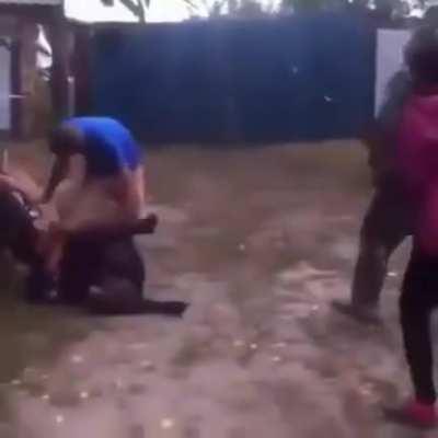 What the hell is going on here?