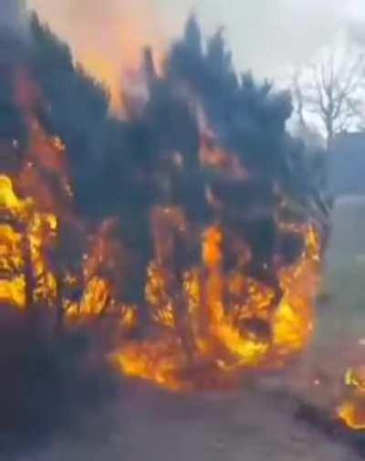 WCGW casually watching a fire burn and spread