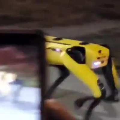 Idk about you but I would have freaked the f*ck out!