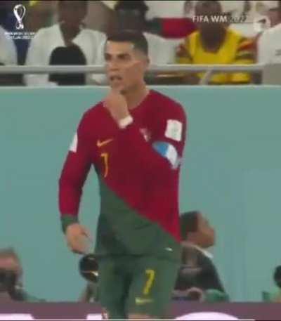 el bicho le da de comer al bicho