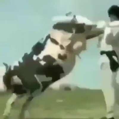 wth did I just watch